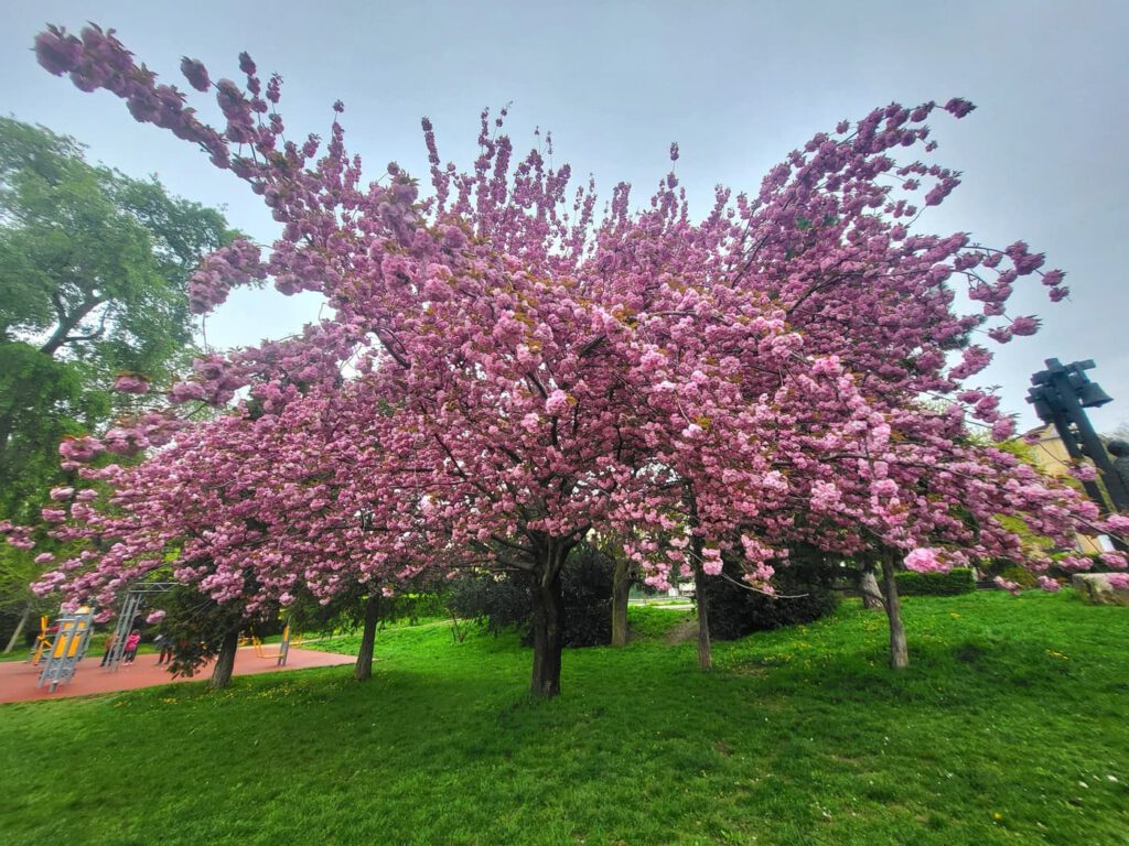 Feneketlen titkok Budán – A tó, amely elnyelte a téglagyárat