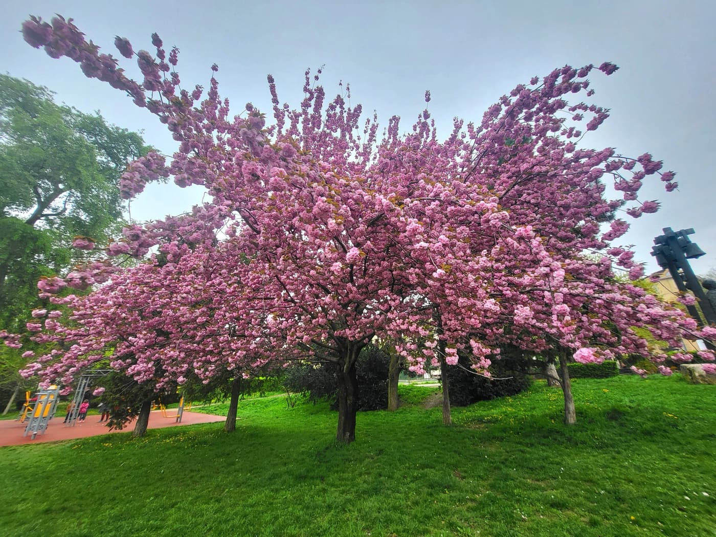 Feneketlen titkok Budán – A tó, amely elnyelte a téglagyárat