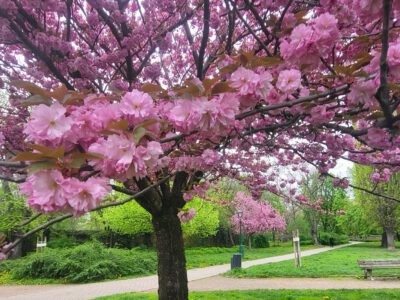 Feneketlen titkok Budán – A tó, amely elnyelte a téglagyárat