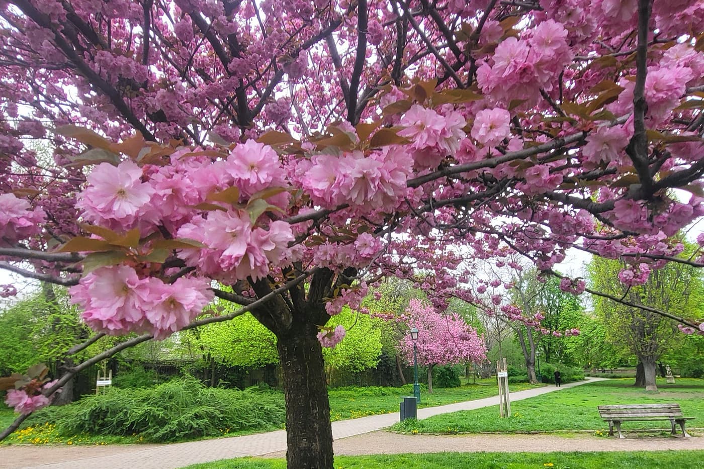 Feneketlen titkok Budán – A tó, amely elnyelte a téglagyárat