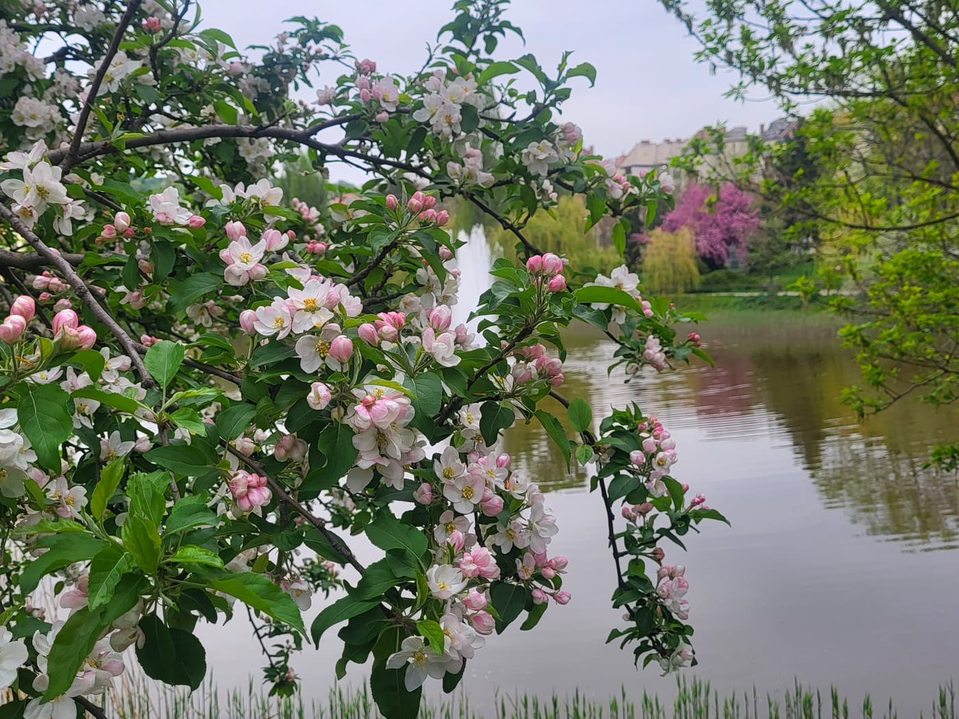 Feneketlen titkok Budán – A tó, amely elnyelte a téglagyárat