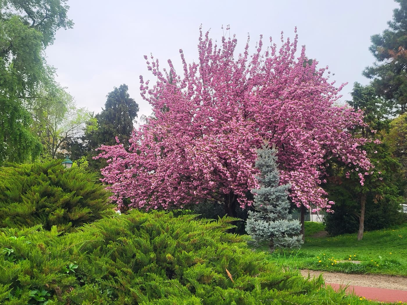 Feneketlen titkok Budán – A tó, amely elnyelte a téglagyárat