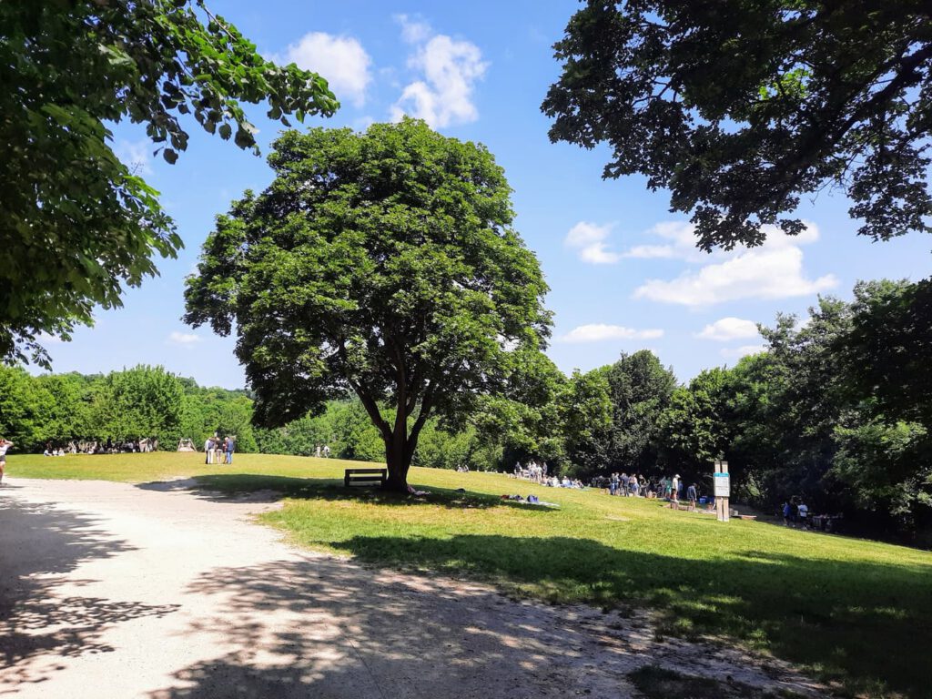 Normafa és Erzsébet-kilátó – egy túra, ezerféle élmény