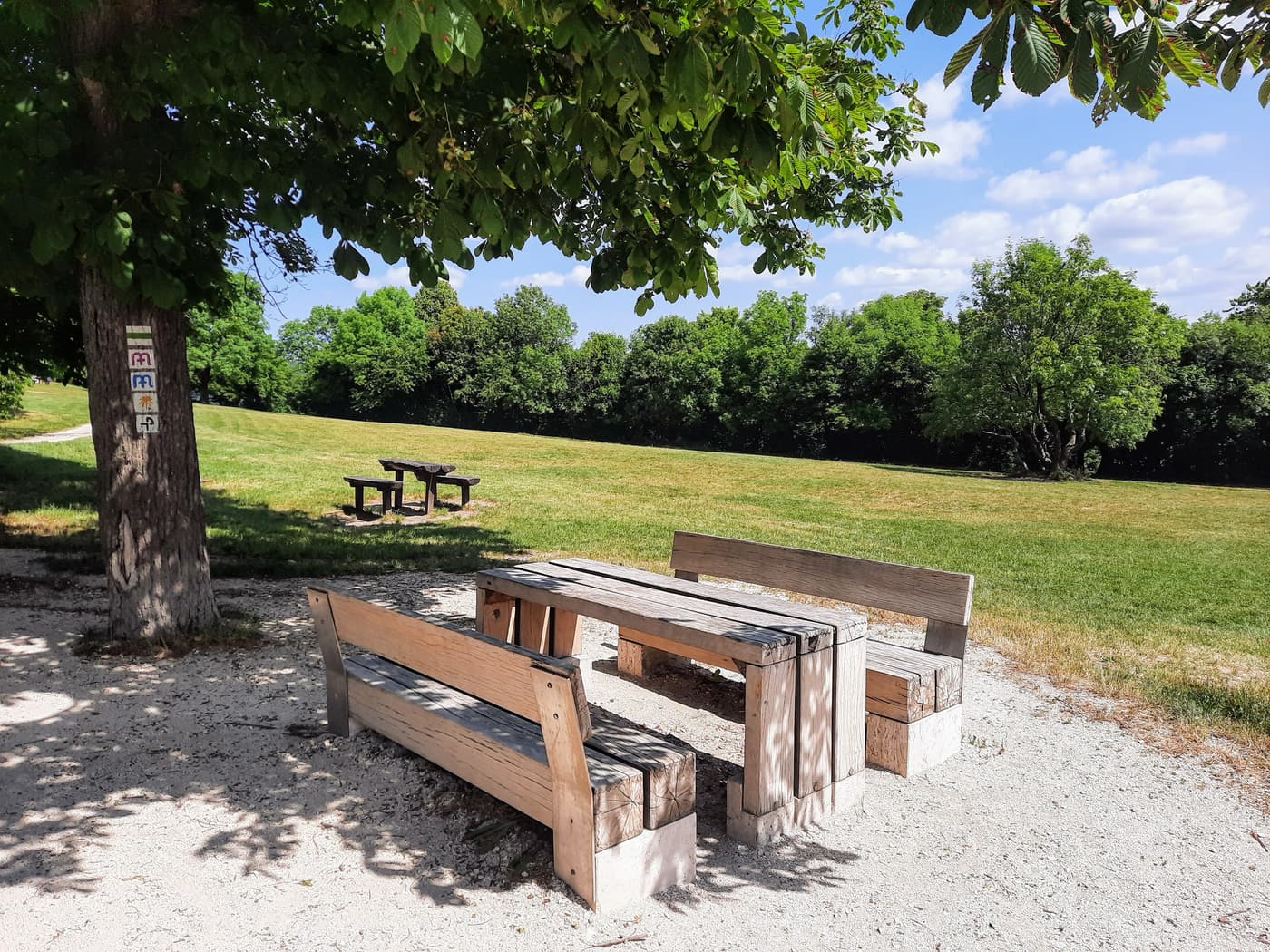 Normafa és Erzsébet-kilátó – egy túra, ezerféle élmény