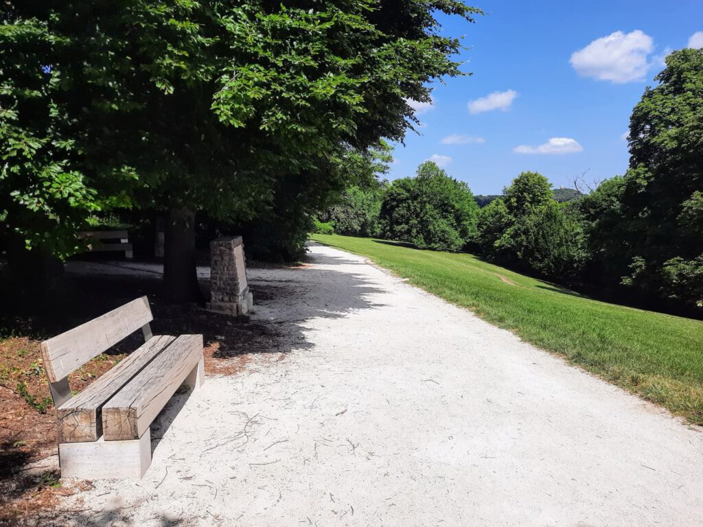 Normafa és Erzsébet-kilátó – egy túra, ezerféle élmény