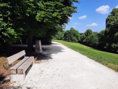 Normafa és Erzsébet-kilátó – egy túra, ezerféle élmény