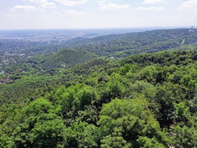 Normafa és Erzsébet-kilátó – egy túra, ezerféle élmény