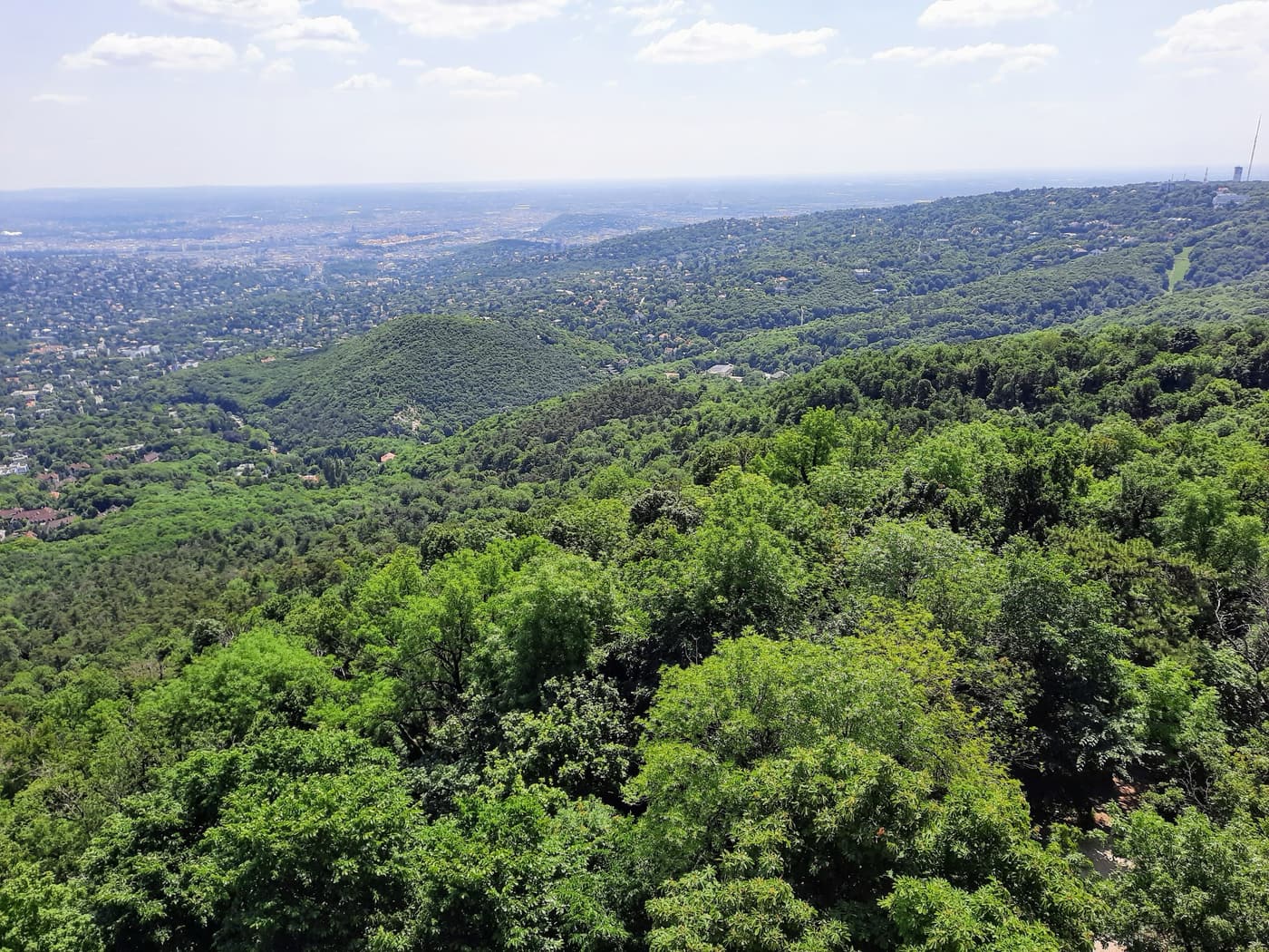 Normafa és Erzsébet-kilátó – egy túra, ezerféle élmény