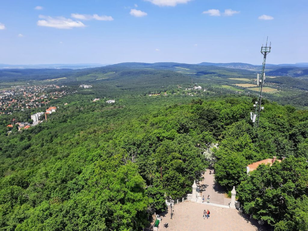 Normafa és Erzsébet-kilátó – egy túra, ezerféle élmény
