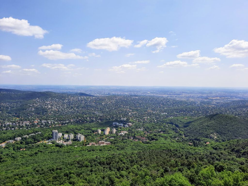 Normafa és Erzsébet-kilátó – egy túra, ezerféle élmény