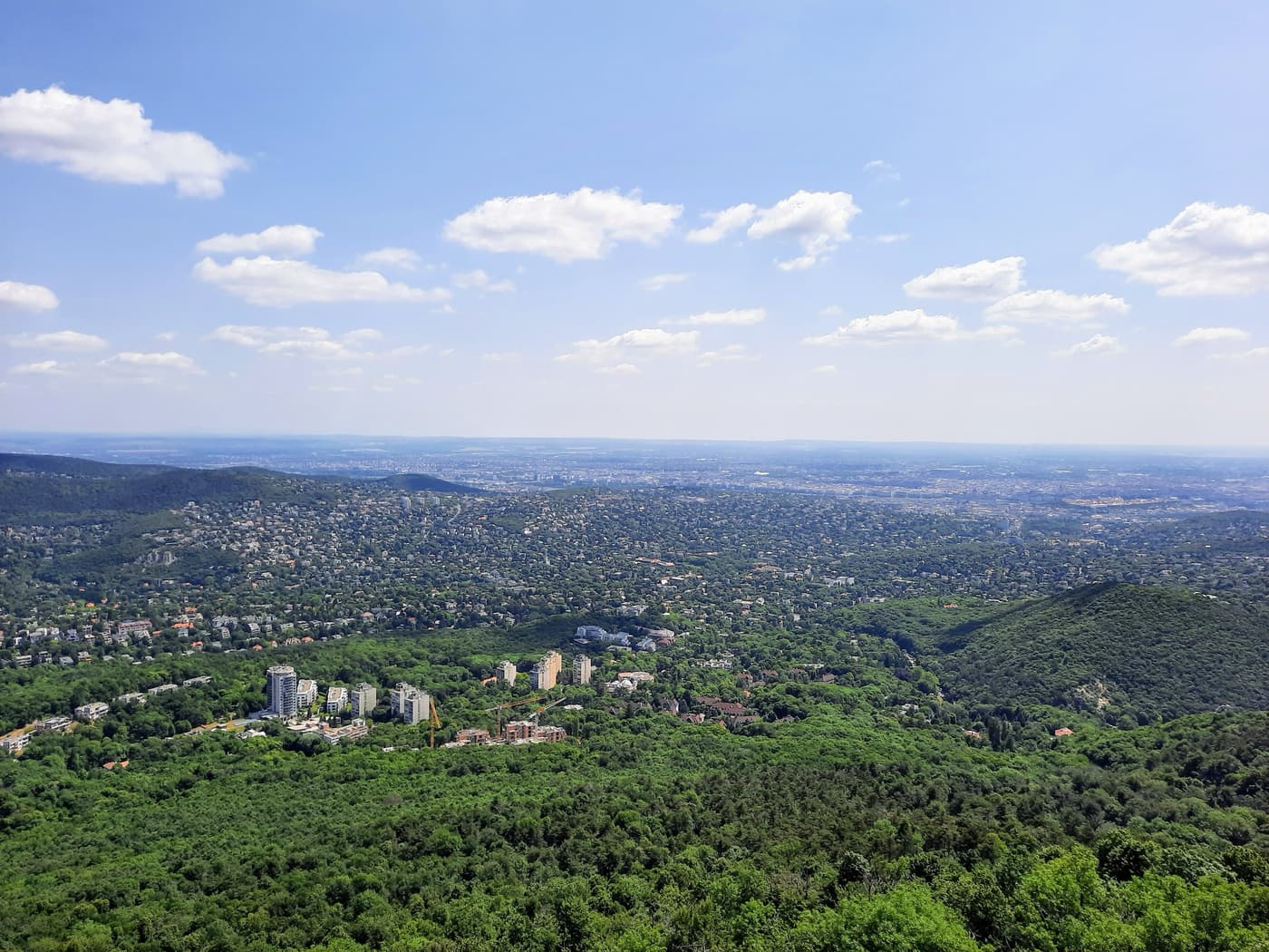 Normafa és Erzsébet-kilátó – egy túra, ezerféle élmény