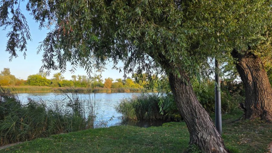 Kolonics György sétány: a Kis-Duna-ág békés partja Csepelen