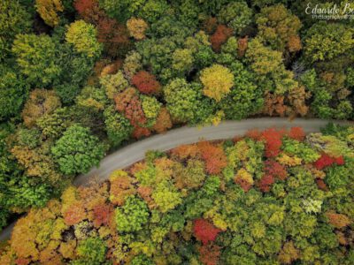 Aranyerdők felett – őszi panoráma a János-hegyről és az Erzsébet-kilátóból