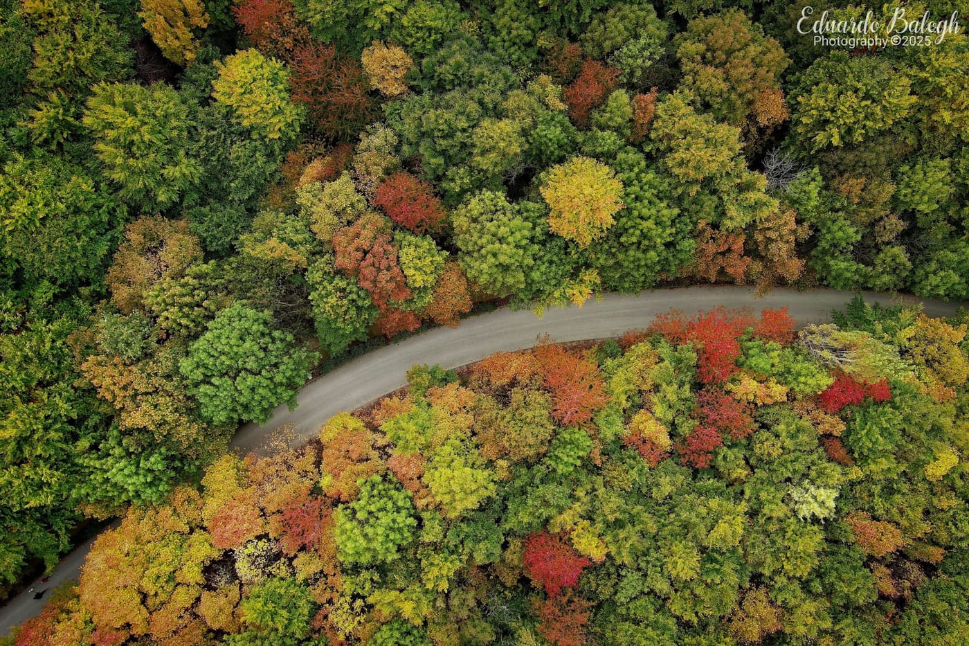 Aranyerdők felett – őszi panoráma a János-hegyről és az Erzsébet-kilátóból