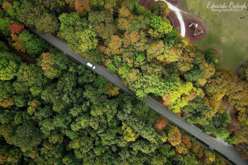 Aranyerdők felett – őszi panoráma a János-hegyről és az Erzsébet-kilátóból