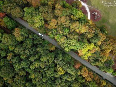 Aranyerdők felett – őszi panoráma a János-hegyről és az Erzsébet-kilátóból