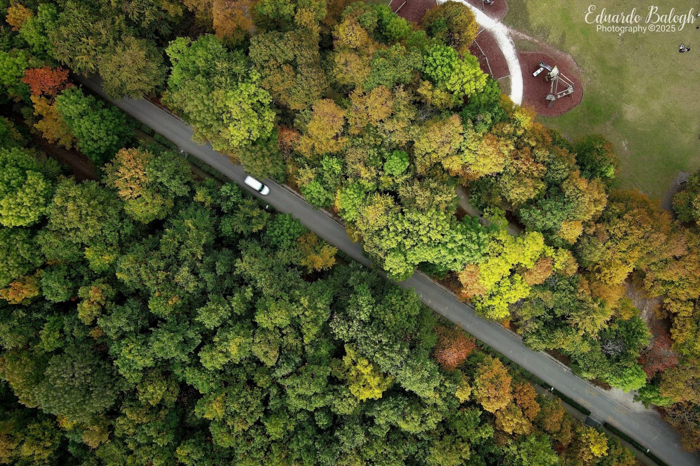 Aranyerdők felett – őszi panoráma a János-hegyről és az Erzsébet-kilátóból