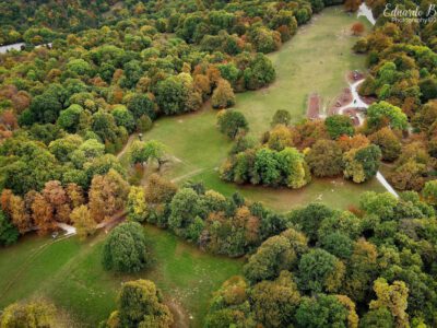 Aranyerdők felett – őszi panoráma a János-hegyről és az Erzsébet-kilátóból