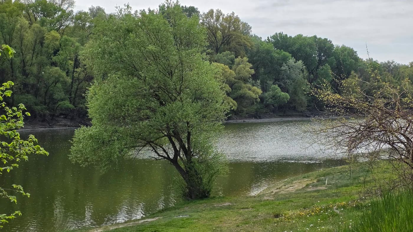 Hárosi-öböl: különleges ártéri táj Budapest déli peremén
