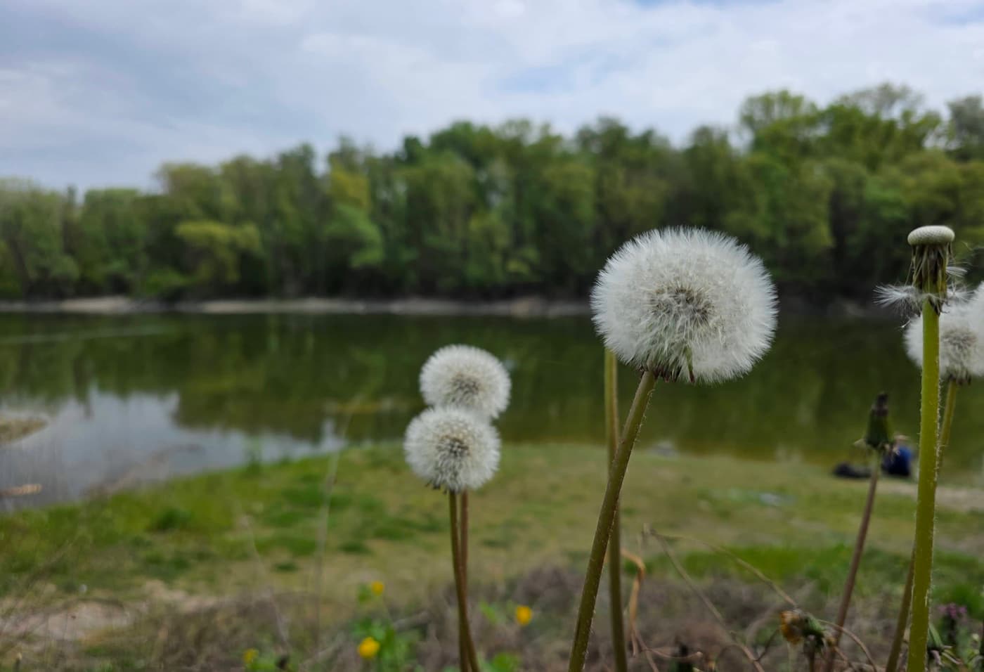 Hárosi-öböl: különleges ártéri táj Budapest déli peremén