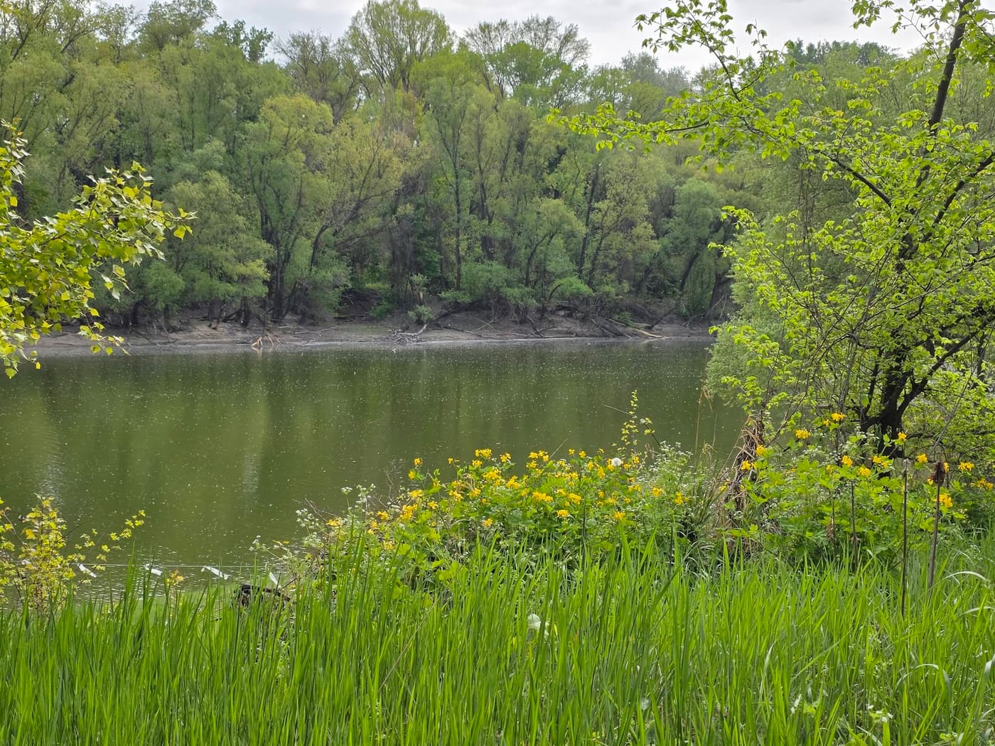 Hárosi-öböl: különleges ártéri táj Budapest déli peremén