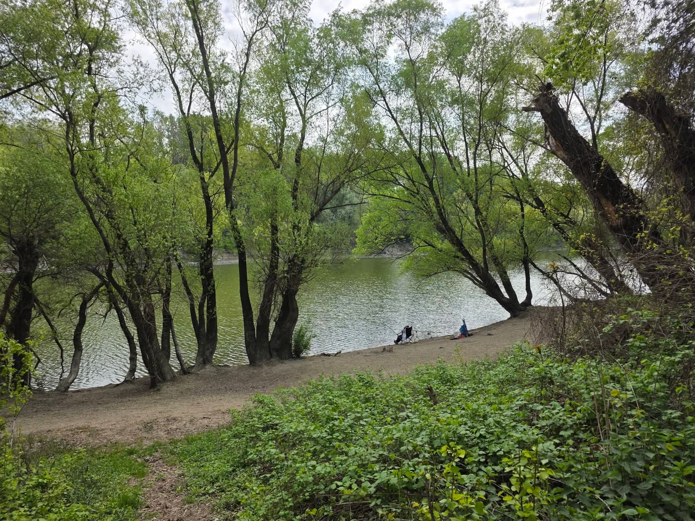 Hárosi-öböl: különleges ártéri táj Budapest déli peremén