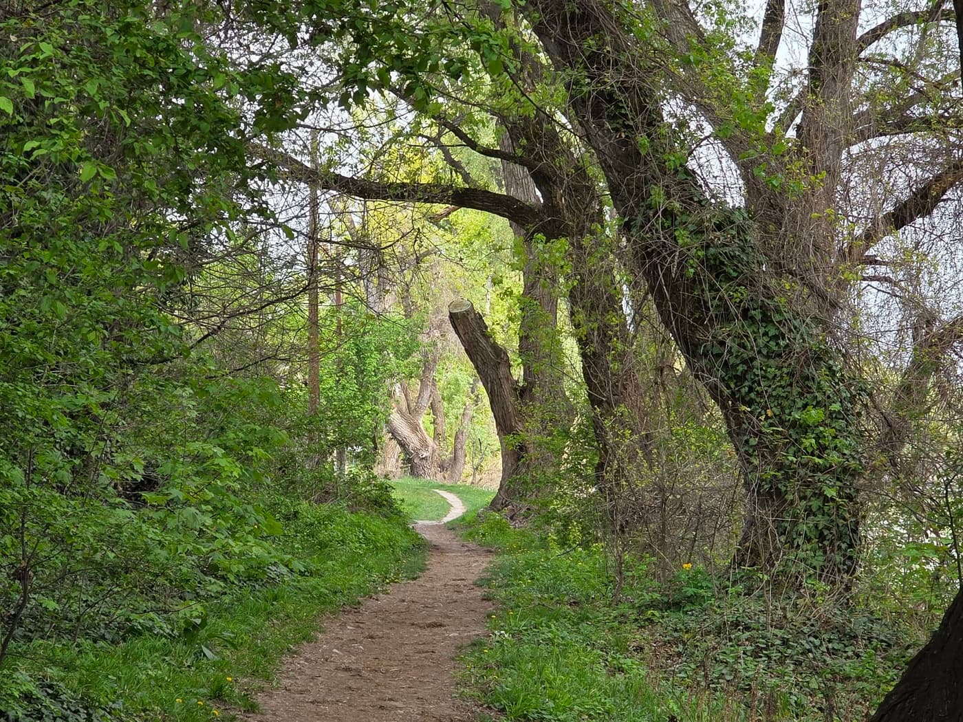 Hárosi-öböl: különleges ártéri táj Budapest déli peremén