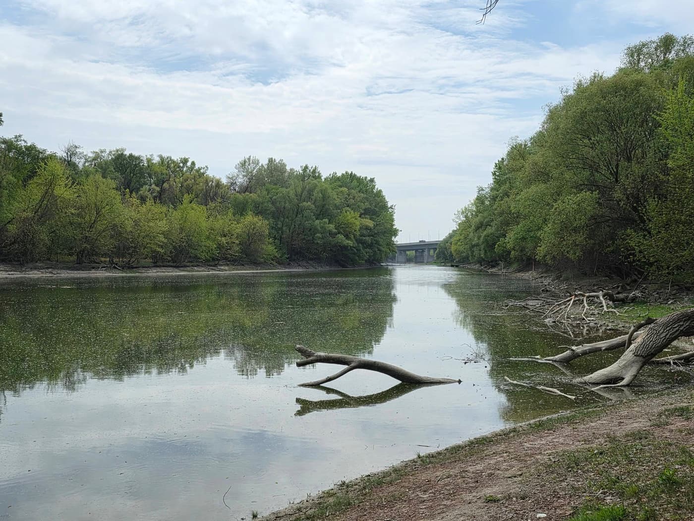 Hárosi-öböl: különleges ártéri táj Budapest déli peremén